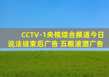 CCTV-1央视综合频道今日说法结束后广告 五粮液酒广告